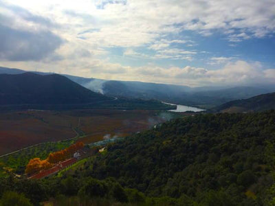 Portugal’s Douro Wine Lands: The Cognoscenti’s Secret