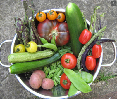 How to Donate Produce from Your Garden to a Local Food Pantry