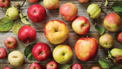 Apples are ripe for the picking, eating and enjoying!